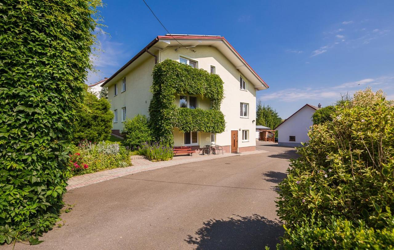 Villa Bieszczadzki Krakowiak 575-894-584 Lub 535-595-732 Polańczyk Exterior foto